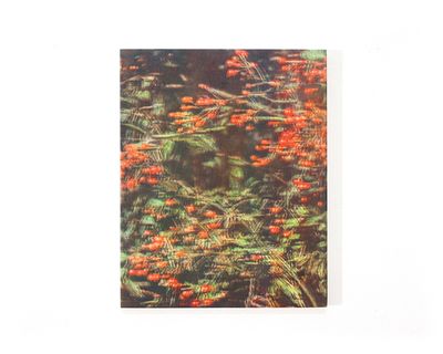 red berry (2022), pigment and oil on wood with silkscreen, by Nobuhiko Murayama