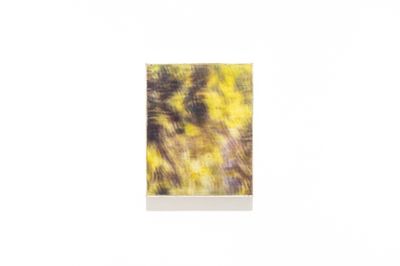 untitled, 2019