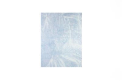 latent image (palm), 2017