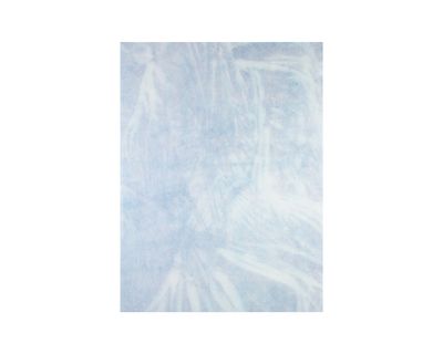latent image (palm) (2017), ink on cotton paper, by Nobuhiko Murayama