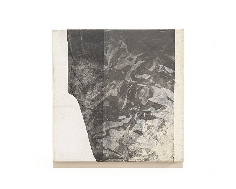 untitled (2024), photographic work by Nobuhiko Murayama