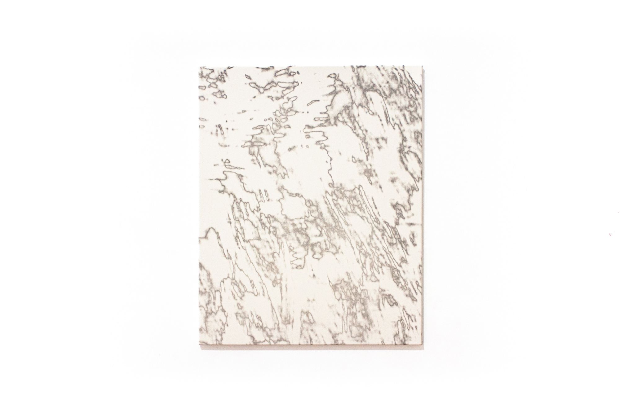 dance in the forest, 2021